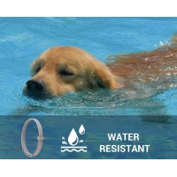 Zgarda Antiparazitara Caini MRG M910 , Pana la 62 cm, din Plante, Anti Purici , Capuse C910