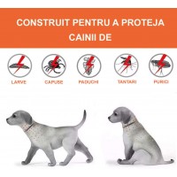 Zgarda Antiparazitara Caini MRG M910 , Pana la 62 cm, din Plante, Anti Purici , Capuse C910