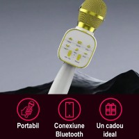 Microfon Wireless Karaoke MRG MDS813, Reincarcabil, Boxa, Gold C1047