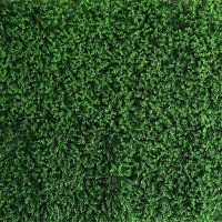 Panou verde din frunze artificiale Green Garden 40 x 60 cm, set 10 bucati