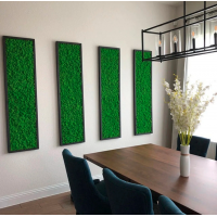 Licheni naturali stabilizati verzi 500 g, pentru decoruri si decoratiuni Licheni naturali stabilizati verzi 500 g, pentru decoruri si decoratiuni