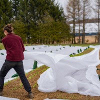 Folie Agril 3.2 x 25 m, microporoasă anti-îngheț, densitate 23 gr/mp Folie Agril 3.2 x 25 m, microporoasă anti-îngheț, densitate 23 gr/mp