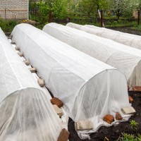Folie Agril 3.2 x 25 m, microporoasă anti-îngheț, densitate 23 gr/mp Folie Agril 3.2 x 25 m, microporoasă anti-îngheț, densitate 23 gr/mp