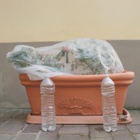 Folie Agril 3.2 x 25 m, microporoasă anti-îngheț, densitate 23 gr/mp Folie Agril 3.2 x 25 m, microporoasă anti-îngheț, densitate 23 gr/mp