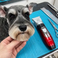 Aparat profesional de tuns caini, pisici, animale, reincarcabila fara fir