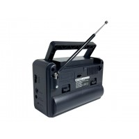 Radio portabil  cu 3 lungimi de unda AM/FM/SW, FP-1603, alimentare la priza 220v