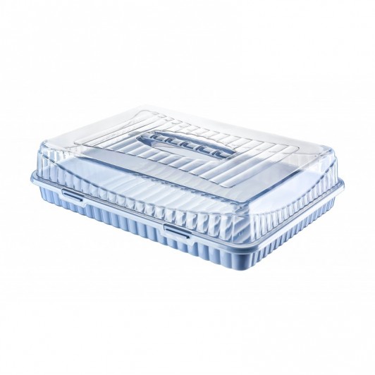 Platou dreptunghilar , din plastic , cu capac , 31 x 43 x 10.50 cm