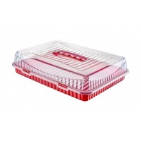 Platou dreptunghilar , din plastic , cu capac , 31 x 43 x 10.50 cm