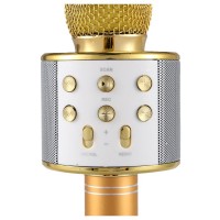 Microfon Karaoke Wireless Bluetooth WS-858 cu difuzor si acumulator incorporat