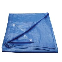 Trafalet revolutionar cu rezervor si accesorii + Prelata impermeabila 3x4m