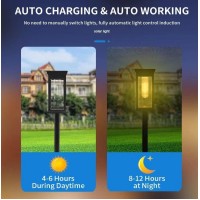 Set 8 x Felinar solar pentru alee, cu tarus, lumina calda