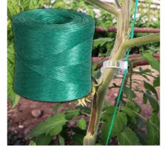 Ata/Sfoara palisare legume + Set 100 bucati clipsuri palisare