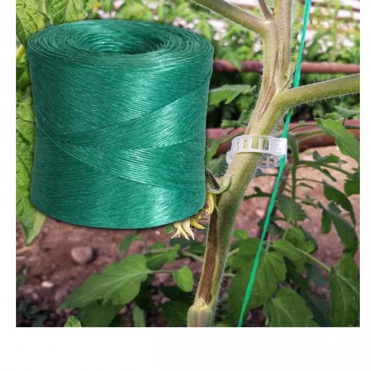 Ata/Sfoara palisare legume + Set 100 bucati clipsuri palisare