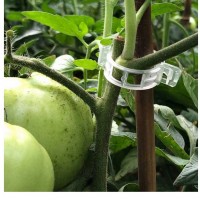 Ata/Sfoara palisare legume + Set 100 bucati clipsuri palisare