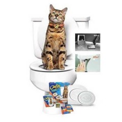 Citi Kitty - kit pentru educarea pisicilor la toaleta