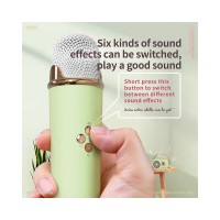 Radio Portabil Karaoke C20, Microfon Wireless Inclus cu Efecte Voce, Bluetooth, FM, Verde