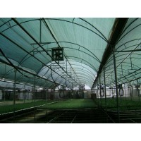 Plasa verde umbrire 1,7m x 50 m, cu grad de umbrire 80%, ideala pentru garduri, terase (90g/m2)
