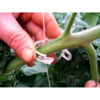 Set 500 buc Clipsuri de palisare legume (rosii, ardei, castraveti)ajuta la pinderea tulpinii plantei