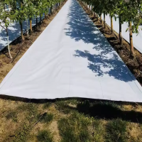 Agrotextil alb 1.50 X 50 m, 100g/m2