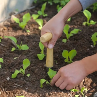 Setul gradinarului : Saditor si Plantator manual