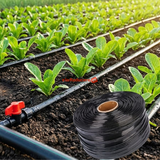 Banda de picurare 100 m, picurare din 40 in 40 cm, 2.2 l/h, 6 mil, D-16 mm