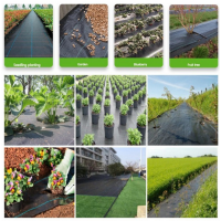 Agrotextil 0.80 m X 100 m, impiedicarea cresterii buruienilor, densitate 100g/m2