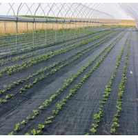 Agrotextil 1.50 m X 25 m, impiedicarea cresterii buruienilor, densitate 100g/m2