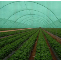 Plasa umbrire 1 m x 100 m, Densitate 40%, Protectie UV verde, ideala pentru sere, terase etc Plasa umbrire 1 m x 100 m, Densitate 40%, Protectie UV verde, ideala pentru sere, terase etc