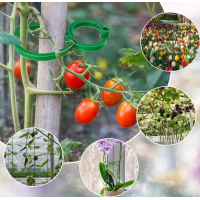 Clipsuri pentru sustinere si palisare plante, tip cleme, reutilizabile, plante sanatose, SET 100 buc Clipsuri pentru sustinere si palisare plante, tip cleme, reutilizabile, plante sanatose, SET 100 buc