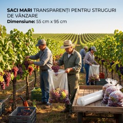 Saci rezistenti 50 bucati pentru struguri, dimenisune 55 cm x 95 cm, transparenti