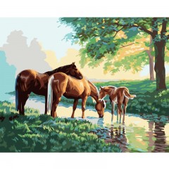 Set pictura pe numere "Cai in natura" 40x50 cm