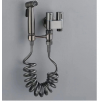 Dus igienic cu furtun extensibil