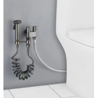 Dus igienic cu furtun extensibil