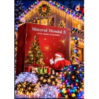 Secret Santa 5- Instalații Luminoase alese Special de Moș Crăciun pentru Tine