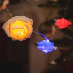 Șir de lumină cu LED - trandafir - 10 LED-uri - 1,9 metri - culoare - 2 x AA - 56516