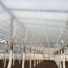 Folie Termica  6.2 m x  200 m lungime x 50 microni grosime, pentru sere si solarii