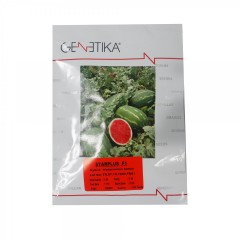 Seminte pepene verde STARPLUS,  1 plic x 1000 seminte