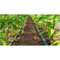 Banda de picurare, Rola de 500 m, picurare din 30 in 30 cm, 2.2l/h