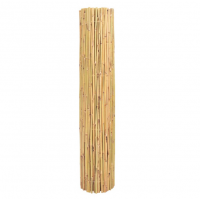 Gard, paravan imitatie bambus ( stuf), Inaltime: 2 m x Lungime: 6 m, PLANT MASTER