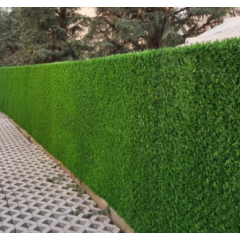 Paravan Imitatie Gard Viu, dimensiuni 1m x 10m