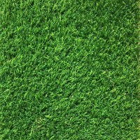 Covor de iarba artificiala, gazon verde artificial, 20mm, 1 m latime x 3 m lungime