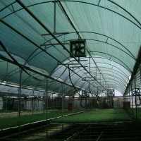 Plasa de umbrire pentru solar, 5m x 100m, 40% densitate grad de umbrire