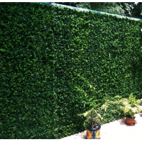 Gard paravan viu, set 10 bucati, 40 cm x 60 cm, cu frunze artificiale, verde inchis, decor/ mascare
