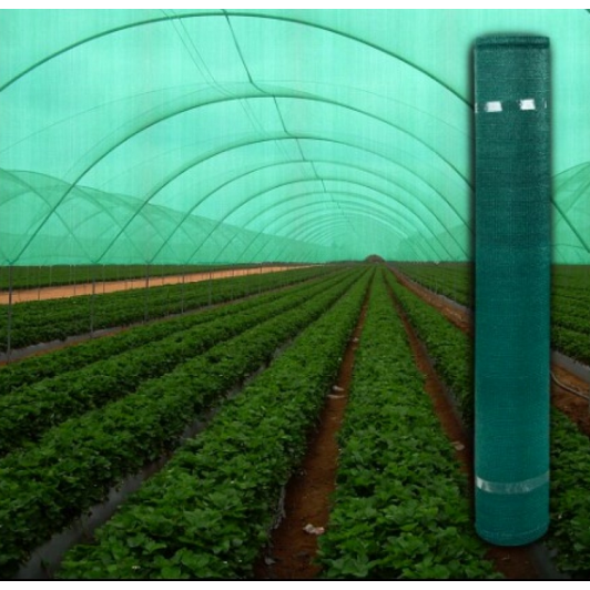 Plasă 35% Umbrire, 14 m x 50 m dimensiuni, cu ochiuri de prindere, Verde