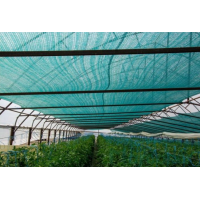 Plasă 35% Umbrire, 14 m x 50 m dimensiuni, cu ochiuri de prindere, Verde