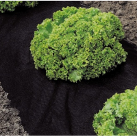 Folie microporoasa 0.8 m x 100 m, HortiAgryl neagra, densitate 50 gr/mp