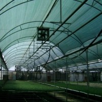 Plasa umbrire 40%, verde, 6 m inaltime x 50 m lungime  cu ochiuri de prindere, rola 50 metri