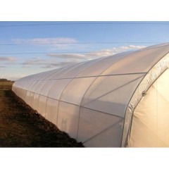 Folie solar 12 m latime aditivata UVA,UVB 180 microni