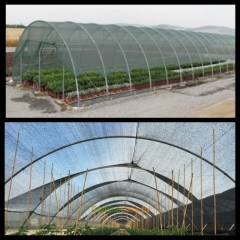 Plasă 40% Umbrire, Verde, dimensiune: 6 m Inaltime x 25 m Lungime, cu ochiuri de prindere