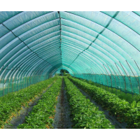 Plasă 35% Umbrire, 8.4 m latime x 50 m lungime, ochiuri de prindere, Import ITALIA, Garantie 4 ani